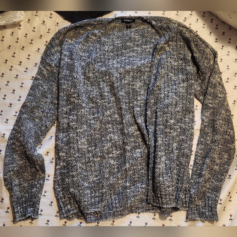 Express Cardigan Sweater